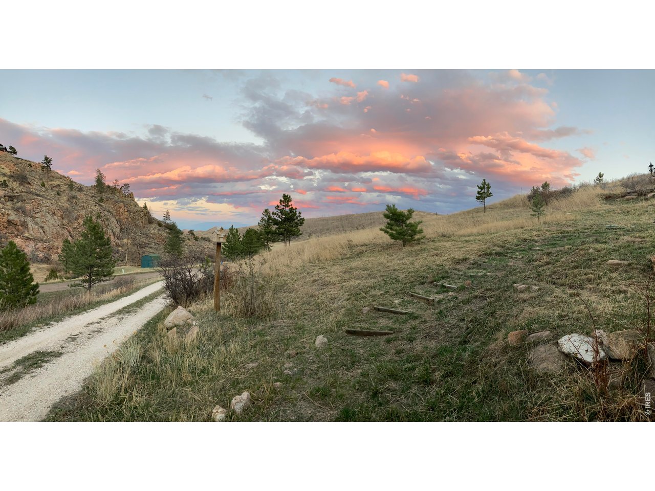 1652 Eiger Road Livermore, CO 80536 - Photo 48 of 50 Spring has sprung Early