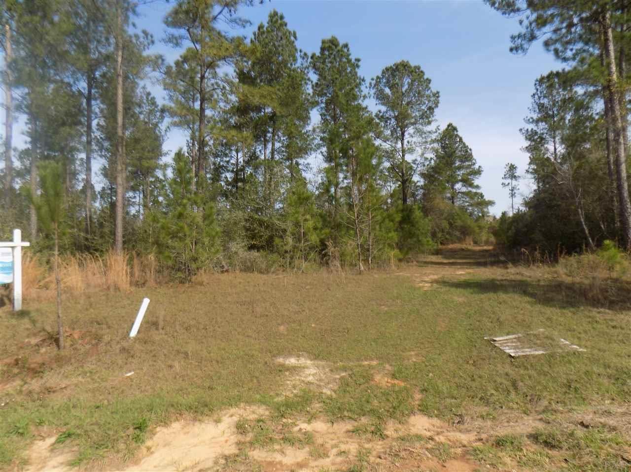 80-pid Phylis Rae Drive Pace, FL 32571 - Photo 2 of 7 Gallery Image 2
