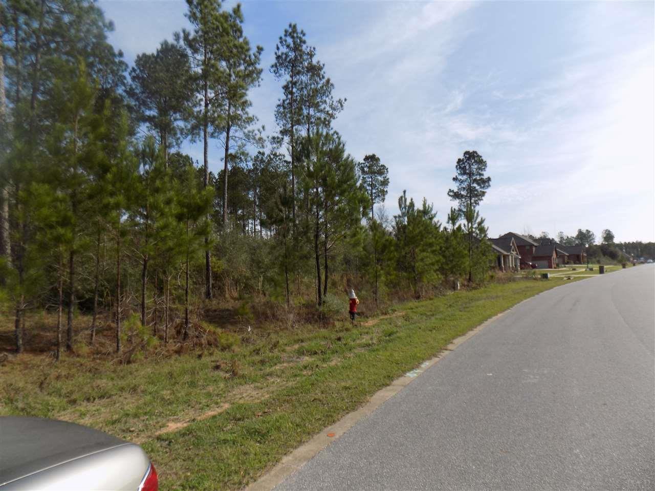 80-pid Phylis Rae Drive Pace, FL 32571 - Photo 3 of 7 Gallery Image 3