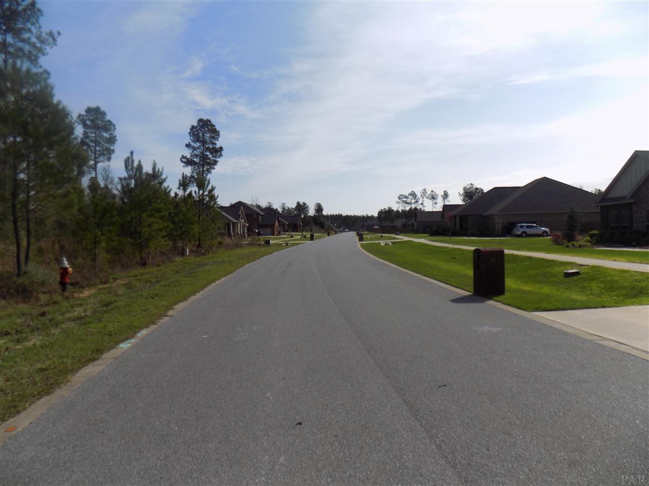 80-pid Phylis Rae Drive Pace, FL 32571 - Photo 4 of 7 Gallery Image 4
