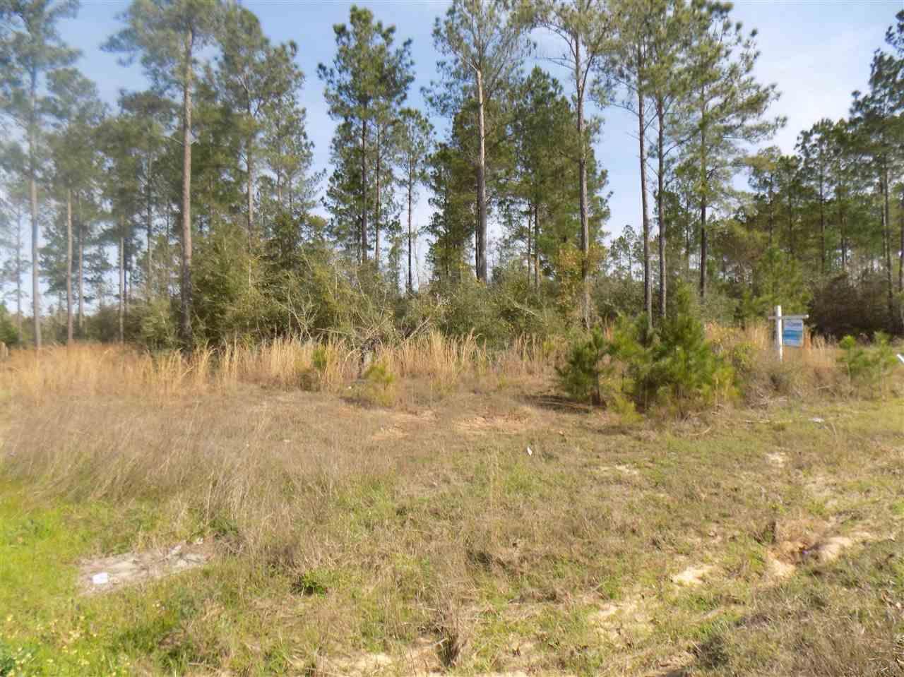 80-pid Phylis Rae Drive Pace, FL 32571 - Photo 7 of 7 Gallery Image 7