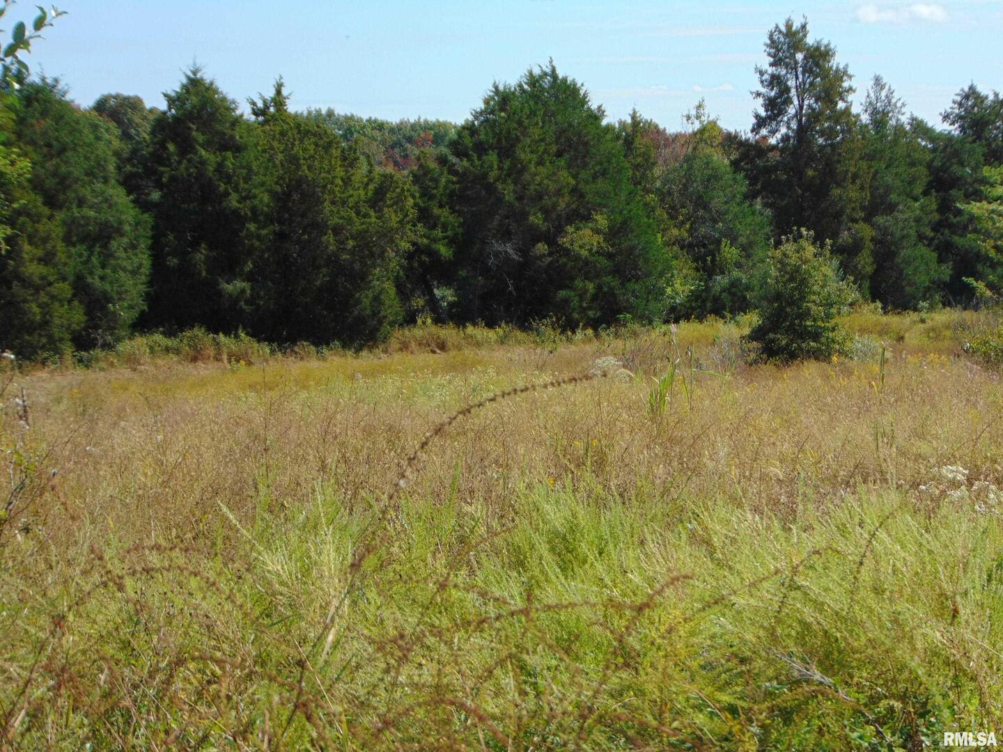 47 Wilkins Road Harrisburg, IL 62946 - Photo 2 of 12 a view of beach and small yard