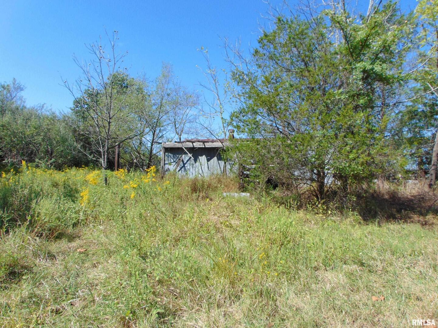 47 Wilkins Road Harrisburg, IL 62946 - Photo 3 of 12 a view of swimming pool from a yard
