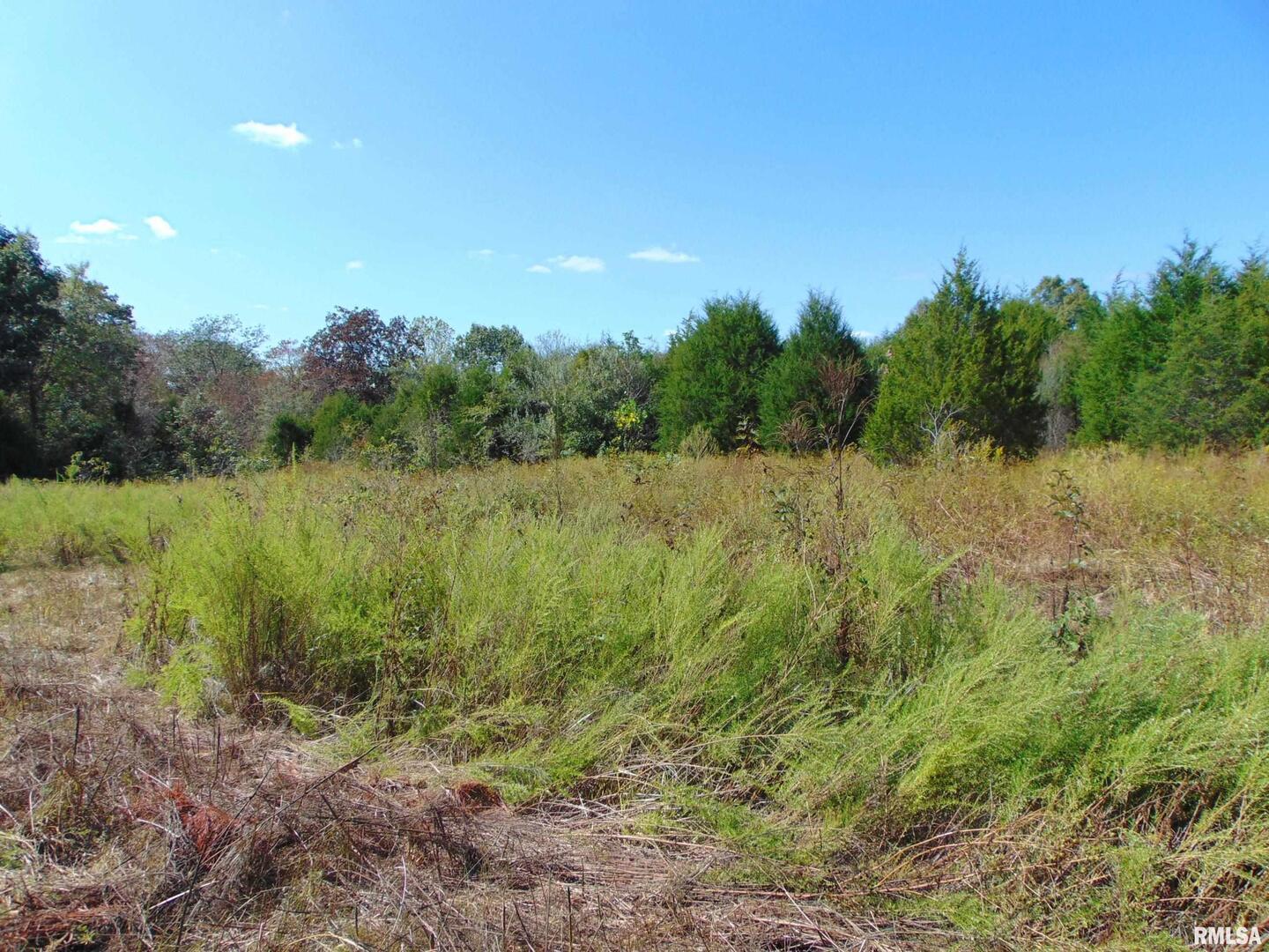 47 Wilkins Road Harrisburg, IL 62946 - Photo 5 of 12 a view of a lake with a yard