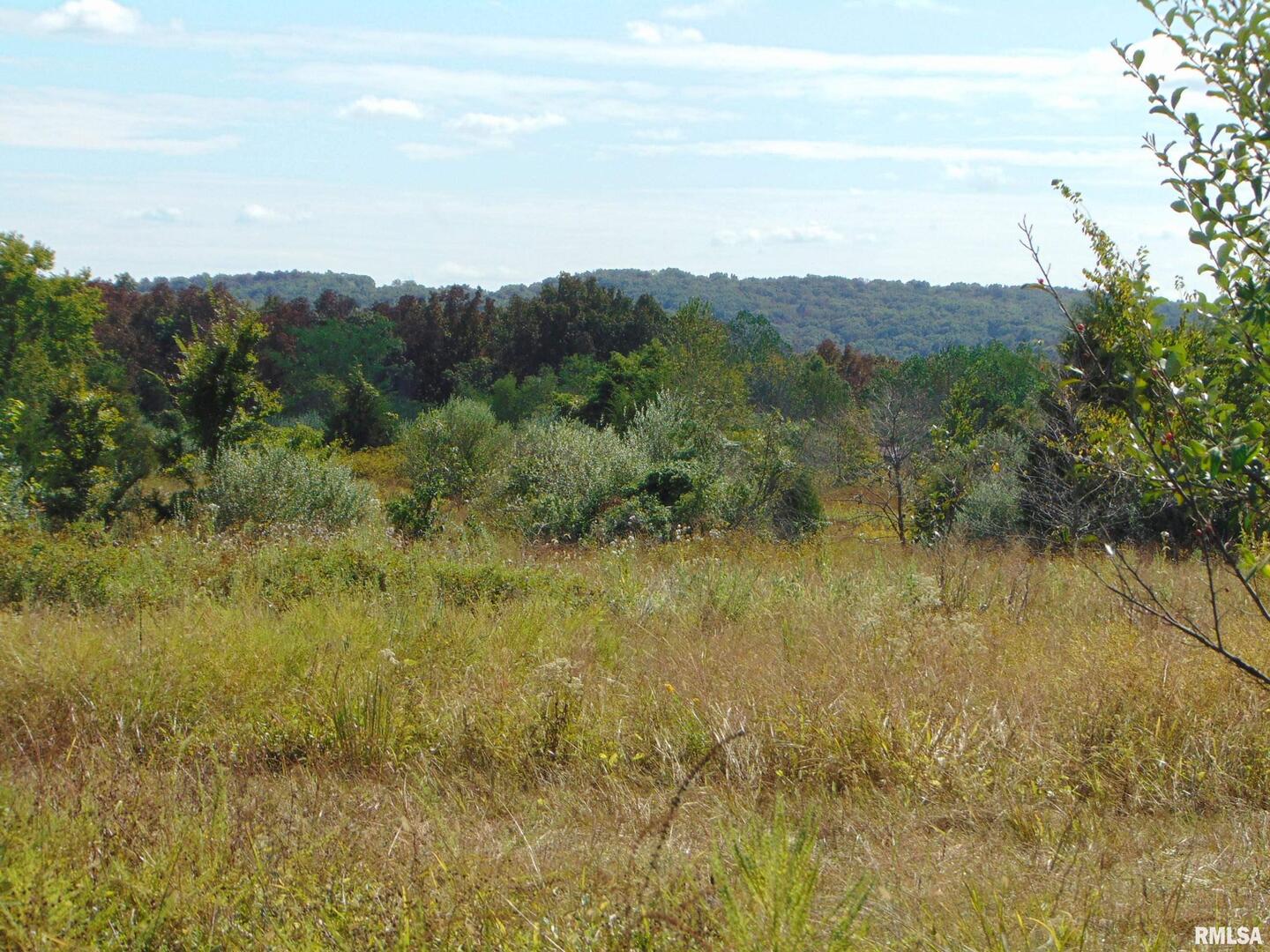 47 Wilkins Road Harrisburg, IL 62946 - Photo 9 of 12 a view of mountain with lake view
