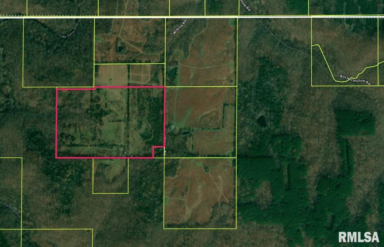 47 Wilkins Road Harrisburg, IL 62946 - Photo 10 of 12 a bathroom with a shower