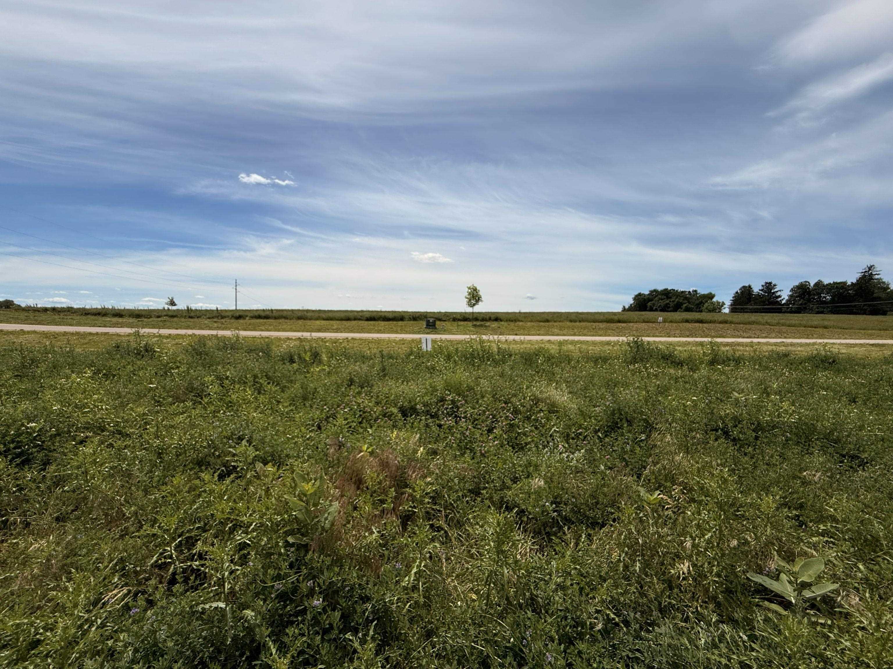 Lot 3 Diane Kay Merrimac, WI 53561 - Photo 4 of 42