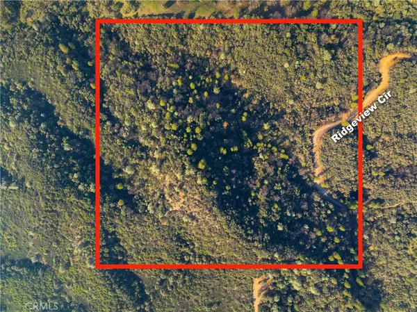an aerial view of forest