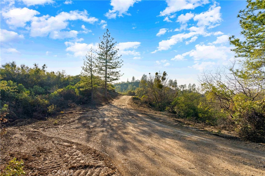 1 Ridge View Circle Sutter Creek, CA 95685 - Photo 13 of 25 a view of a road with trees in the background