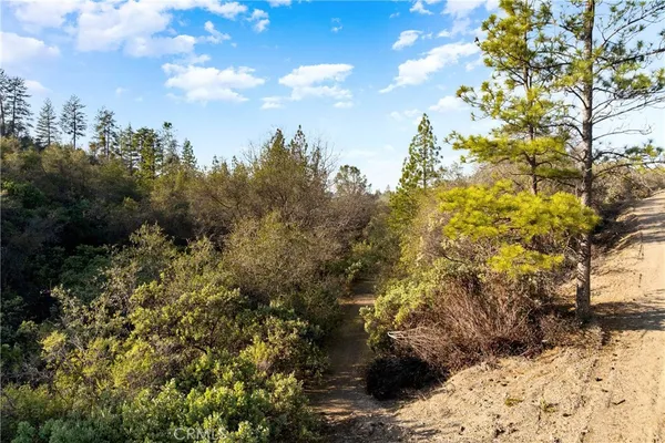 a view of a yard with mountain