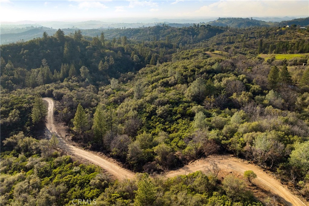 1 Ridge View Circle Sutter Creek, CA 95685 - Photo 2 of 25 a view of a forest with a forest