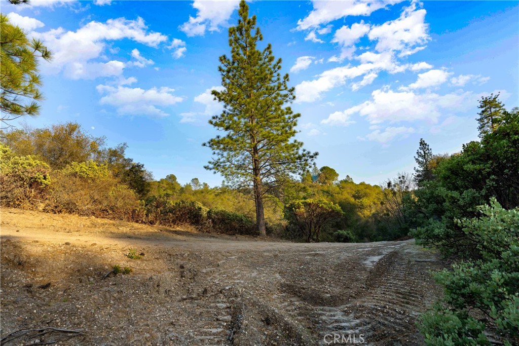 1 Ridge View Circle Sutter Creek, CA 95685 - Photo 23 of 25 a view of a yard with mountain
