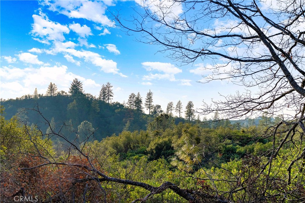 1 Ridge View Circle Sutter Creek, CA 95685 - Photo 25 of 25 a view of a yard