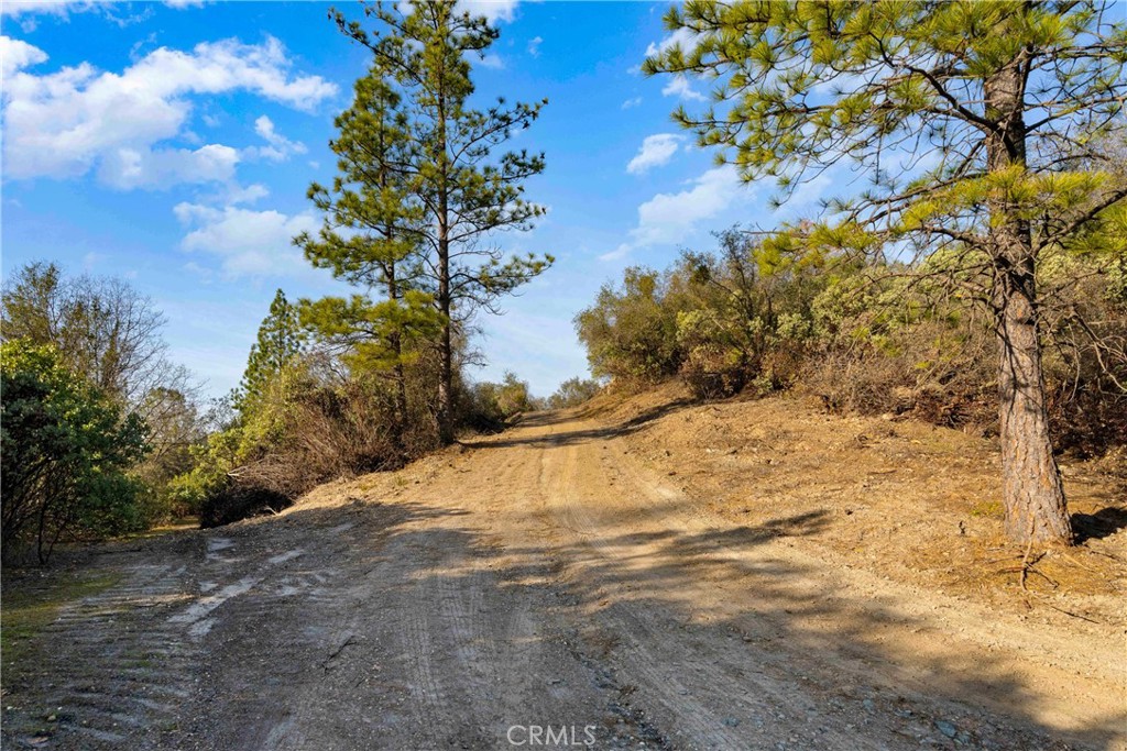 1 Ridge View Circle Sutter Creek, CA 95685 - Photo 3 of 25