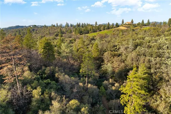 a big yard with lots of green space and plants