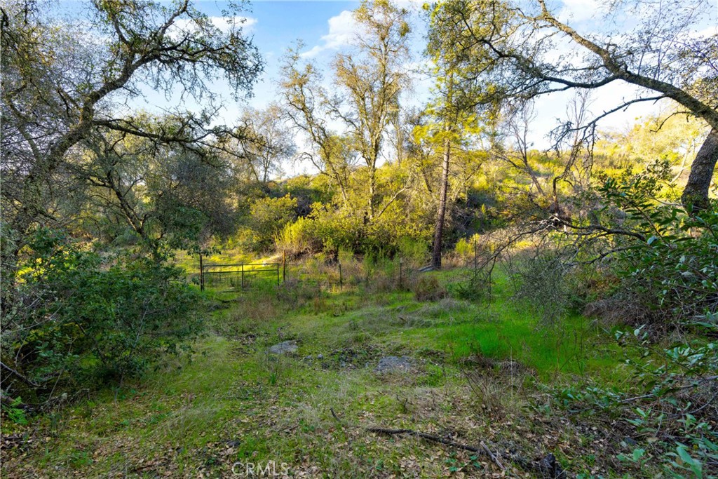 1 Ridge View Circle Sutter Creek, CA 95685 - Photo 8 of 25 a view of a garden