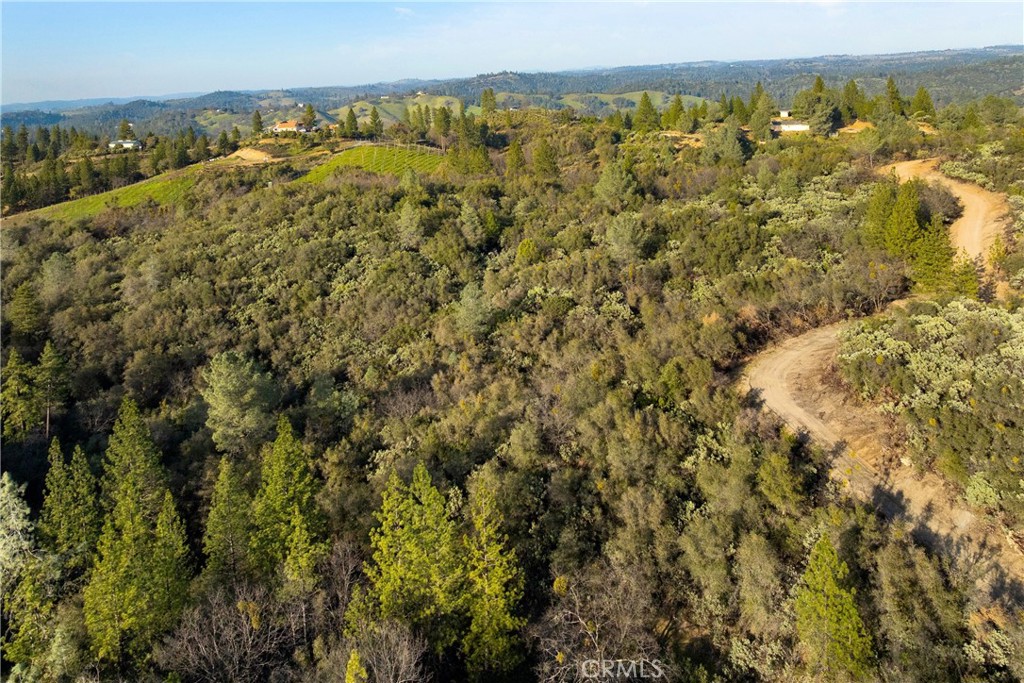 1 Ridge View Circle Sutter Creek, CA 95685 - Photo 8 of 25 a view of a city with an ocean