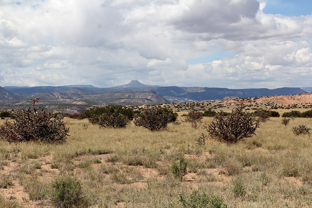 11.5 Pinon Road Abiquiu, NM 87510 - Photo 6 of 12