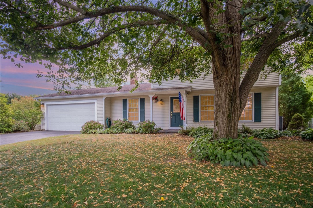 wELCOME TO OLD DRAKE RUN!