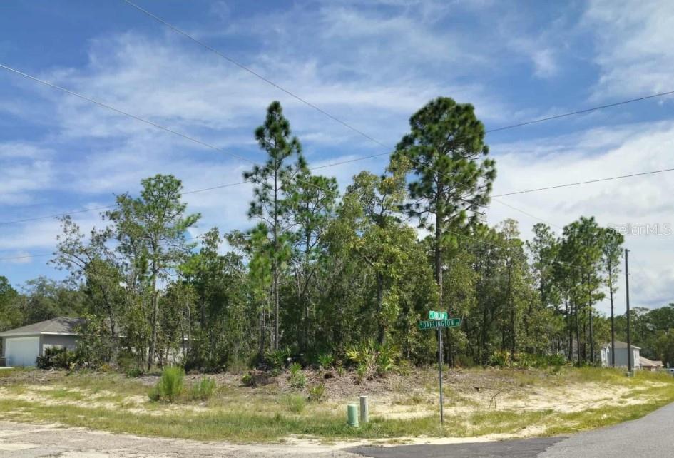 a view of a yard