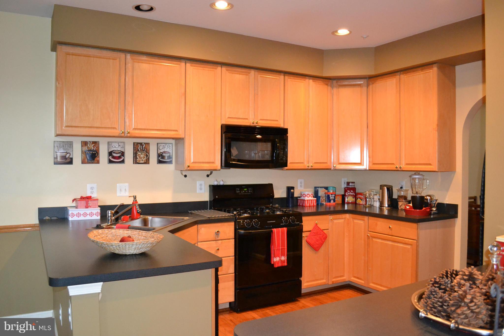 2450 Rippling Brook Road Frederick, MD 21701 - Photo 9 of 30 Kitchen
