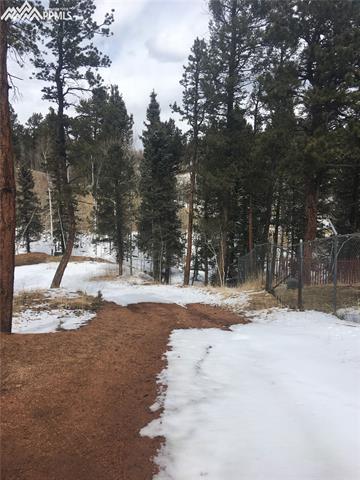 416 Alpine View Road Divide, CO 80814 - Photo 16 of 36 Gallery Image 16