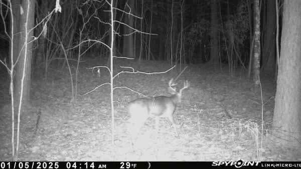 74-acs Bethel Road Valley Head, AL 35989 - Photo 19 of 19 cc7a2eccb6e3192f48f16d38b286609a