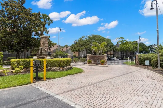 a view of a park with large trees