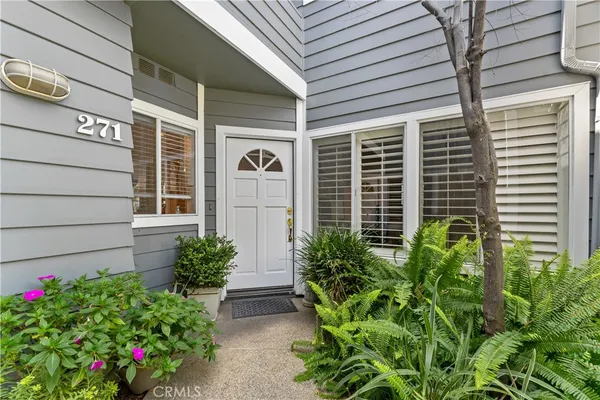 a flower plants in front of a house