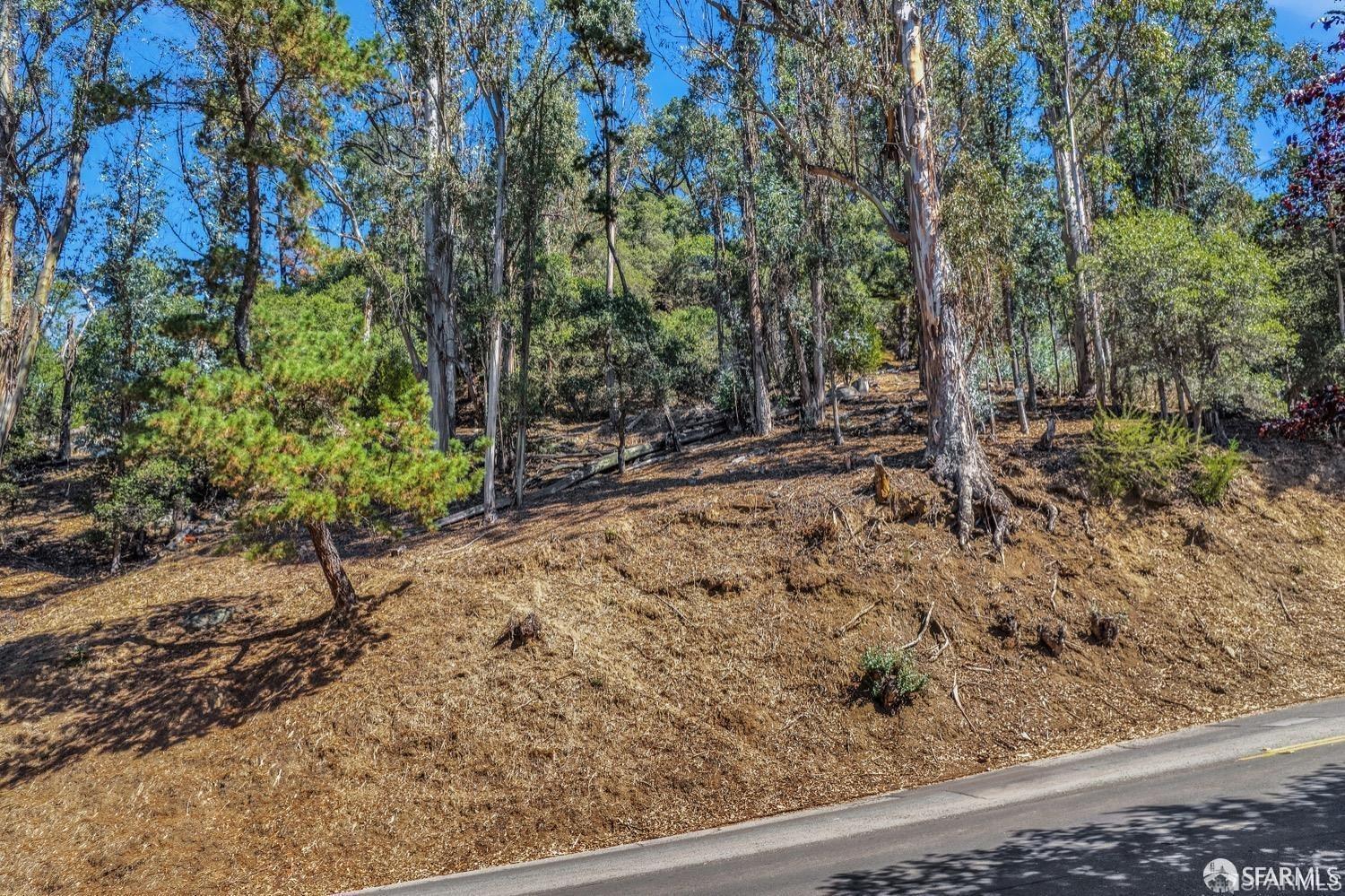 0 2 Ascot Drive Oakland, CA 94611 - Photo 18 of 28 a view of a forest with trees