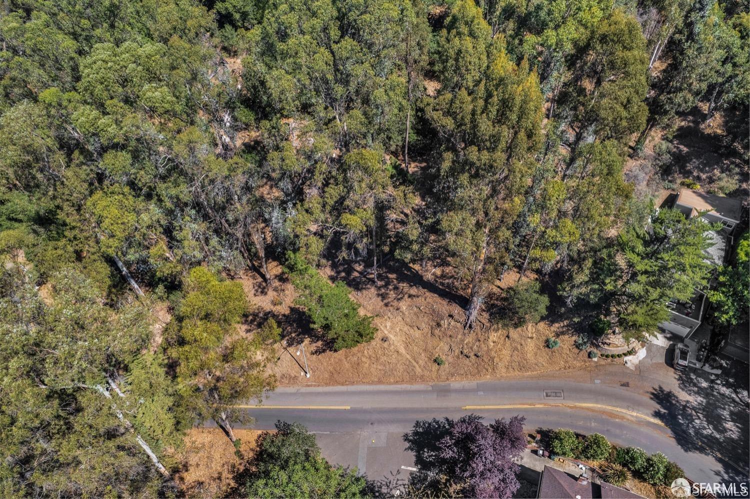 0 2 Ascot Drive Oakland, CA 94611 - Photo 19 of 28 a view of a yard with plants and trees