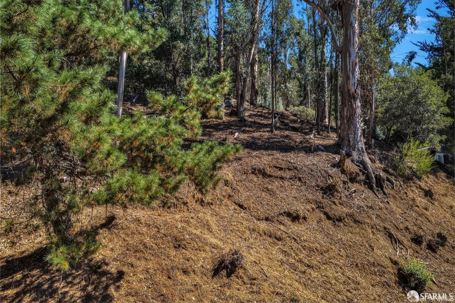 0 2 Ascot Drive Oakland, CA 94611 - Photo 2 of 28 a view of a yard with plants and large trees