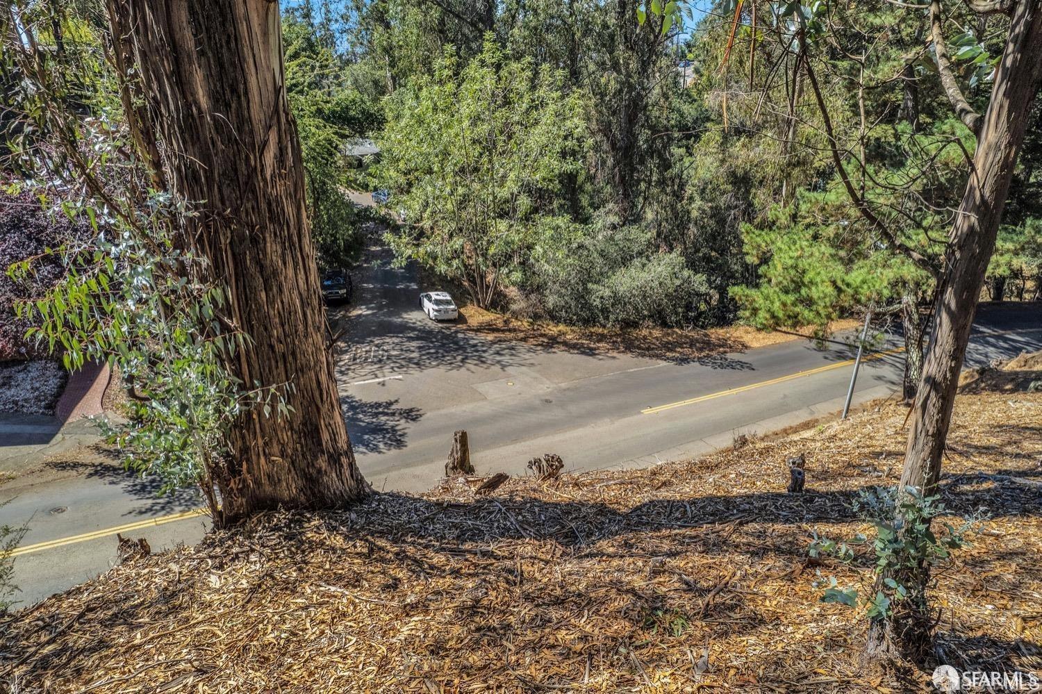 0 2 Ascot Drive Oakland, CA 94611 - Photo 22 of 28 a view of a yard with plants and trees