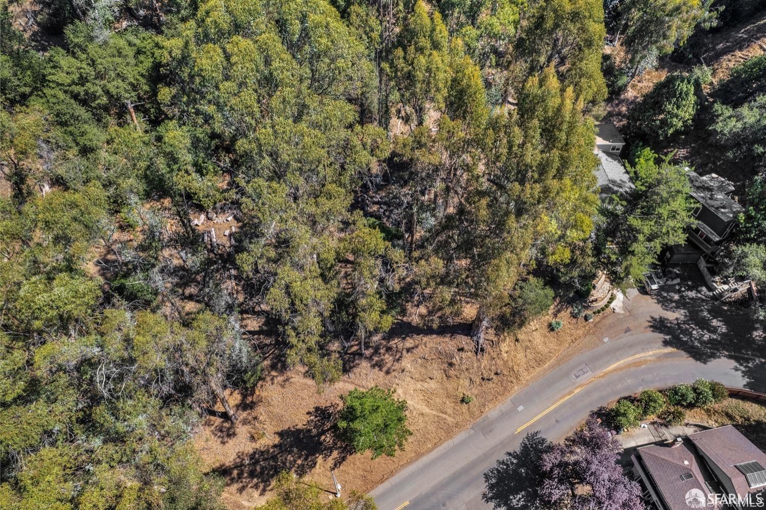 0 2 Ascot Drive Oakland, CA 94611 - Photo 23 of 28 a view of a yard with plants and tree
