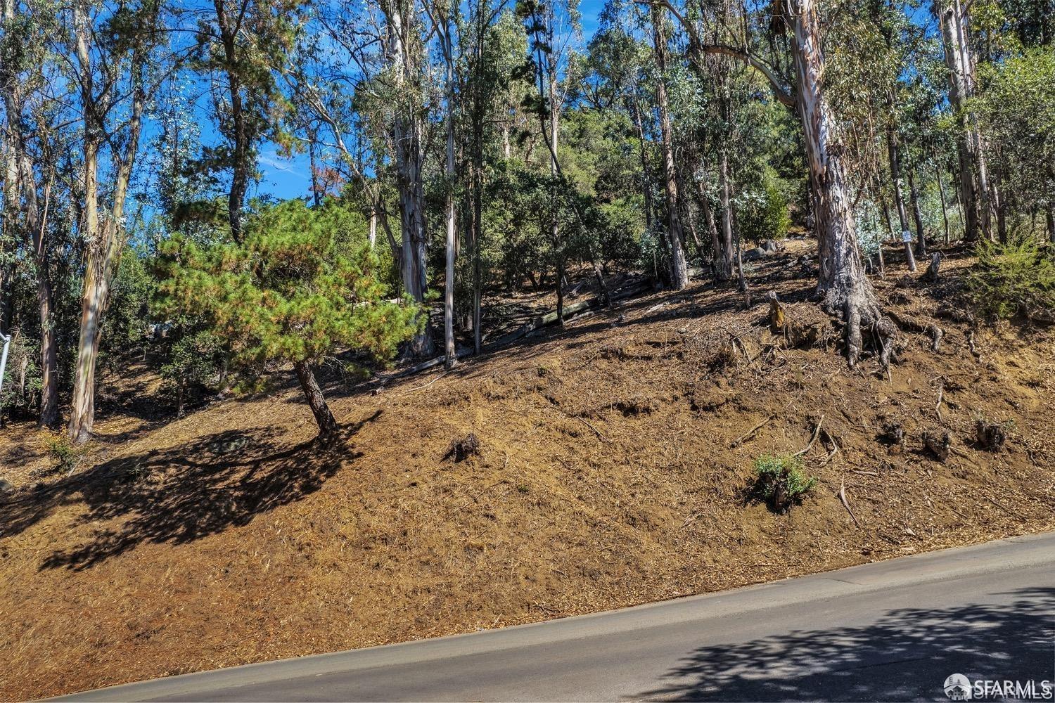 0 2 Ascot Drive Oakland, CA 94611 - Photo 24 of 28 a view of a backyard of the house
