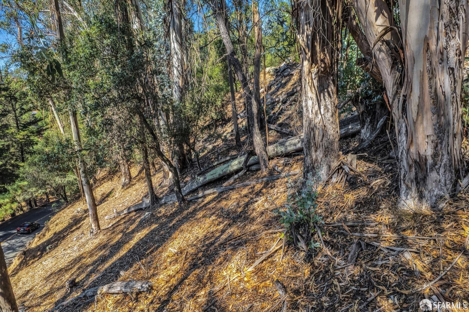 0 2 Ascot Drive Oakland, CA 94611 - Photo 27 of 28 a view of tree