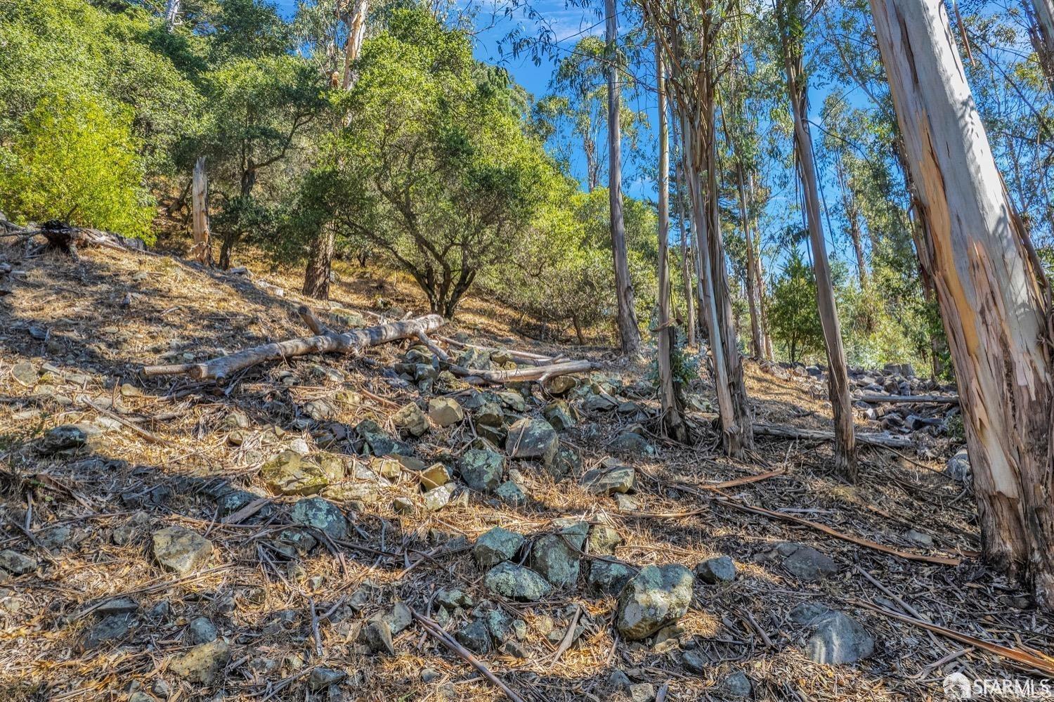 0 2 Ascot Drive Oakland, CA 94611 - Photo 3 of 28 a view of a yard with plants and trees