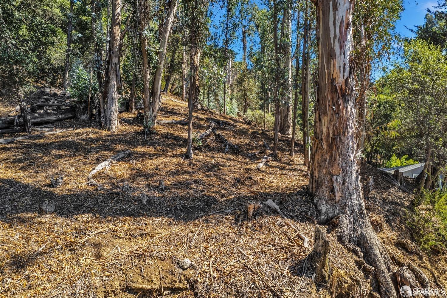 0 2 Ascot Drive Oakland, CA 94611 - Photo 7 of 28 a view of a yard with plants and trees