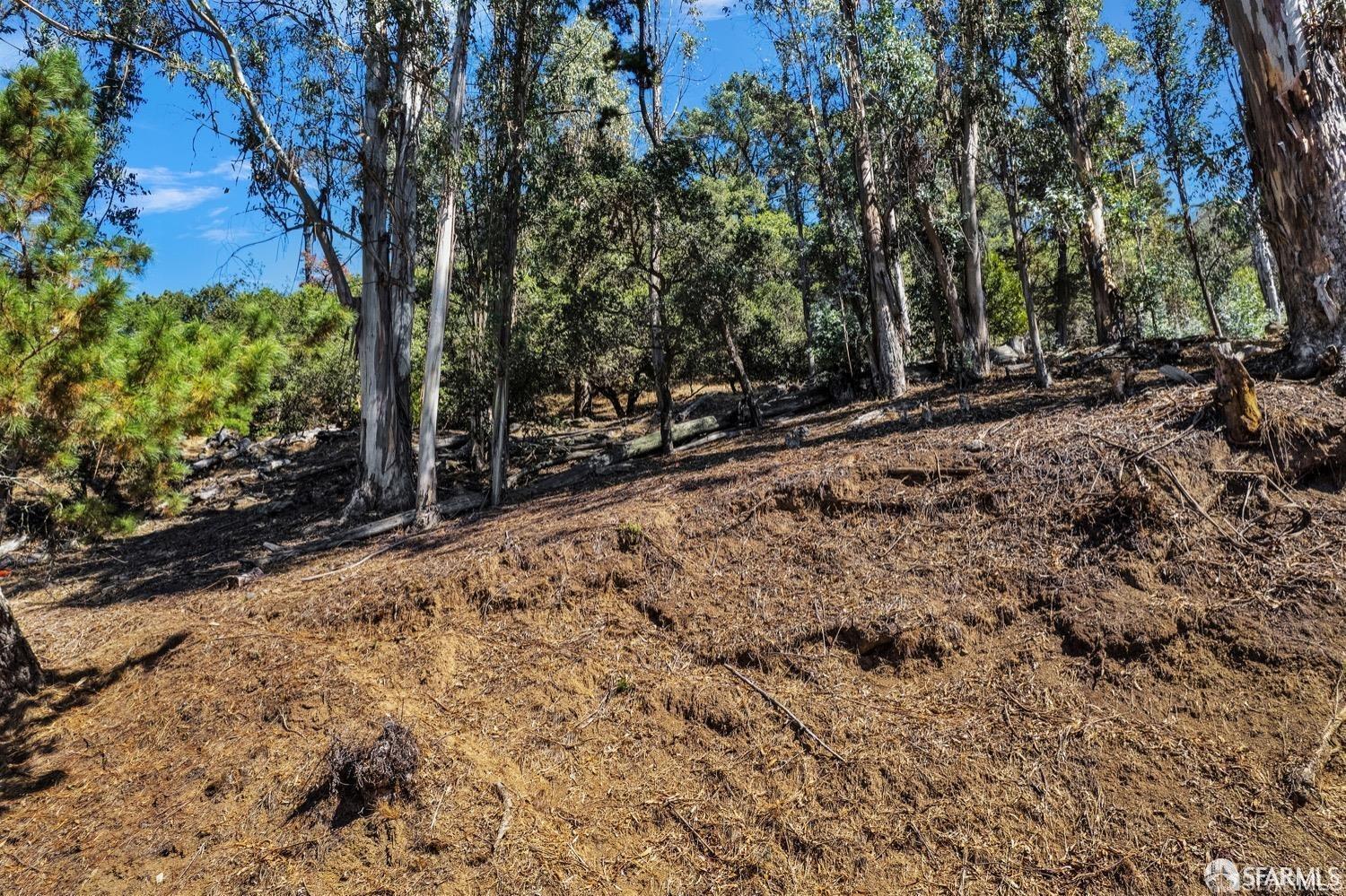 0 2 Ascot Drive Oakland, CA 94611 - Photo 8 of 28 a view of a trees with a tree