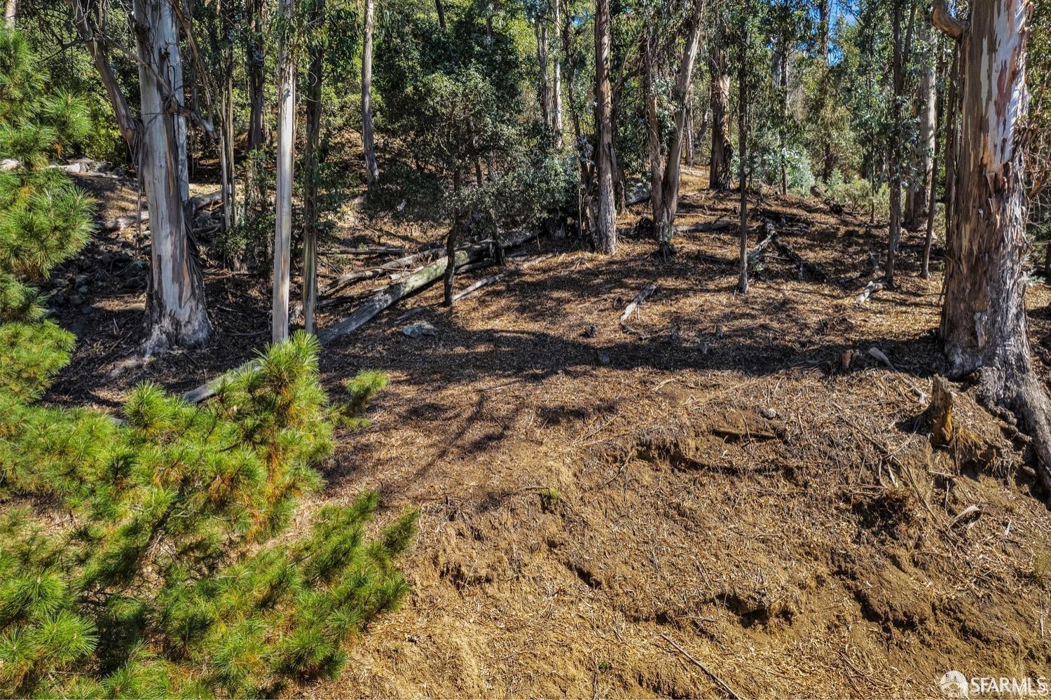 0 2 Ascot Drive Oakland, CA 94611 - Photo 9 of 28 a view of a forest with trees