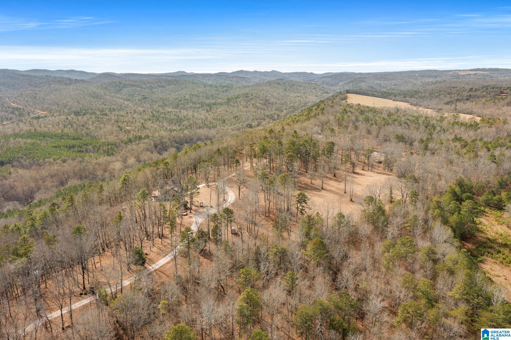 575 Mountain View Lane Springville, AL 35146 - Photo 71 of 84