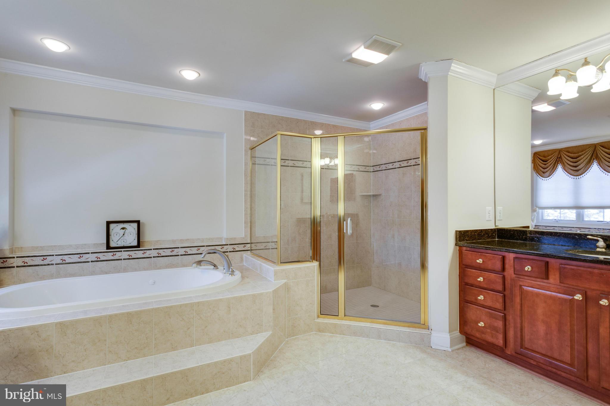 9429 Old Courthouse Road Vienna, VA 22182 - Photo 12 of 30 Bath (Master)