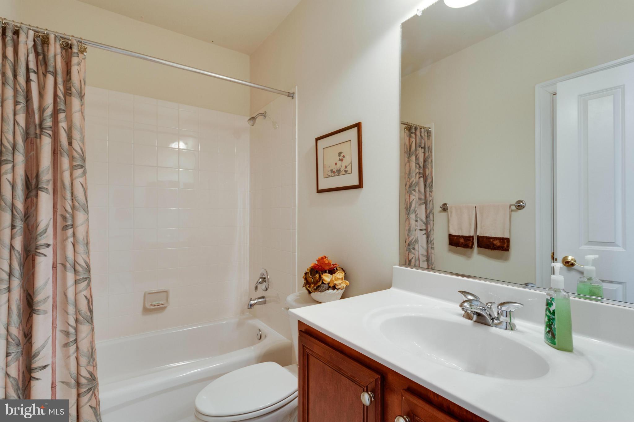 9429 Old Courthouse Road Vienna, VA 22182 - Photo 22 of 30 Bath