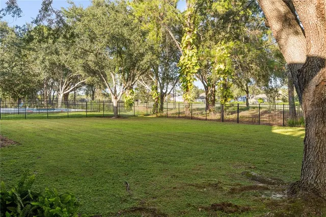 a view of a yard in front of a house