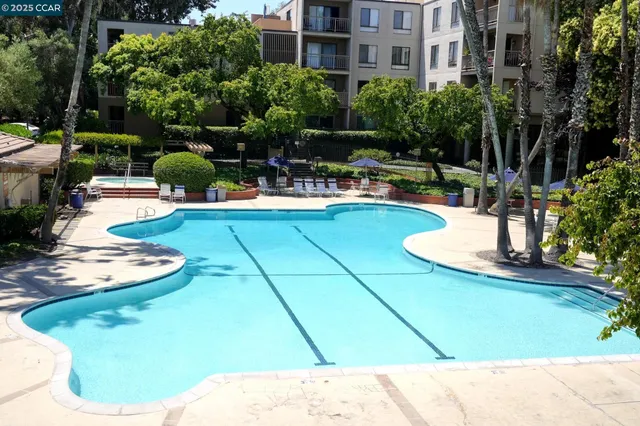a view of a swimming pool with a bench and trees in the background