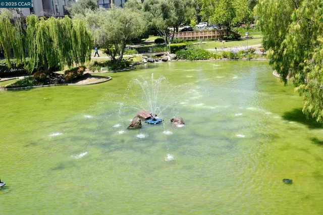 a view of a swimming pool with a yard