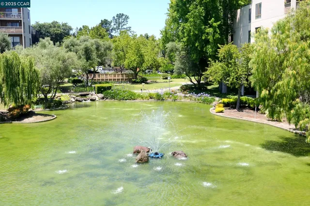 a view of a swimming pool with a garden