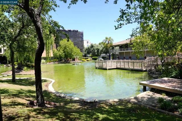 a view of swimming pool with lawn chairs and plants