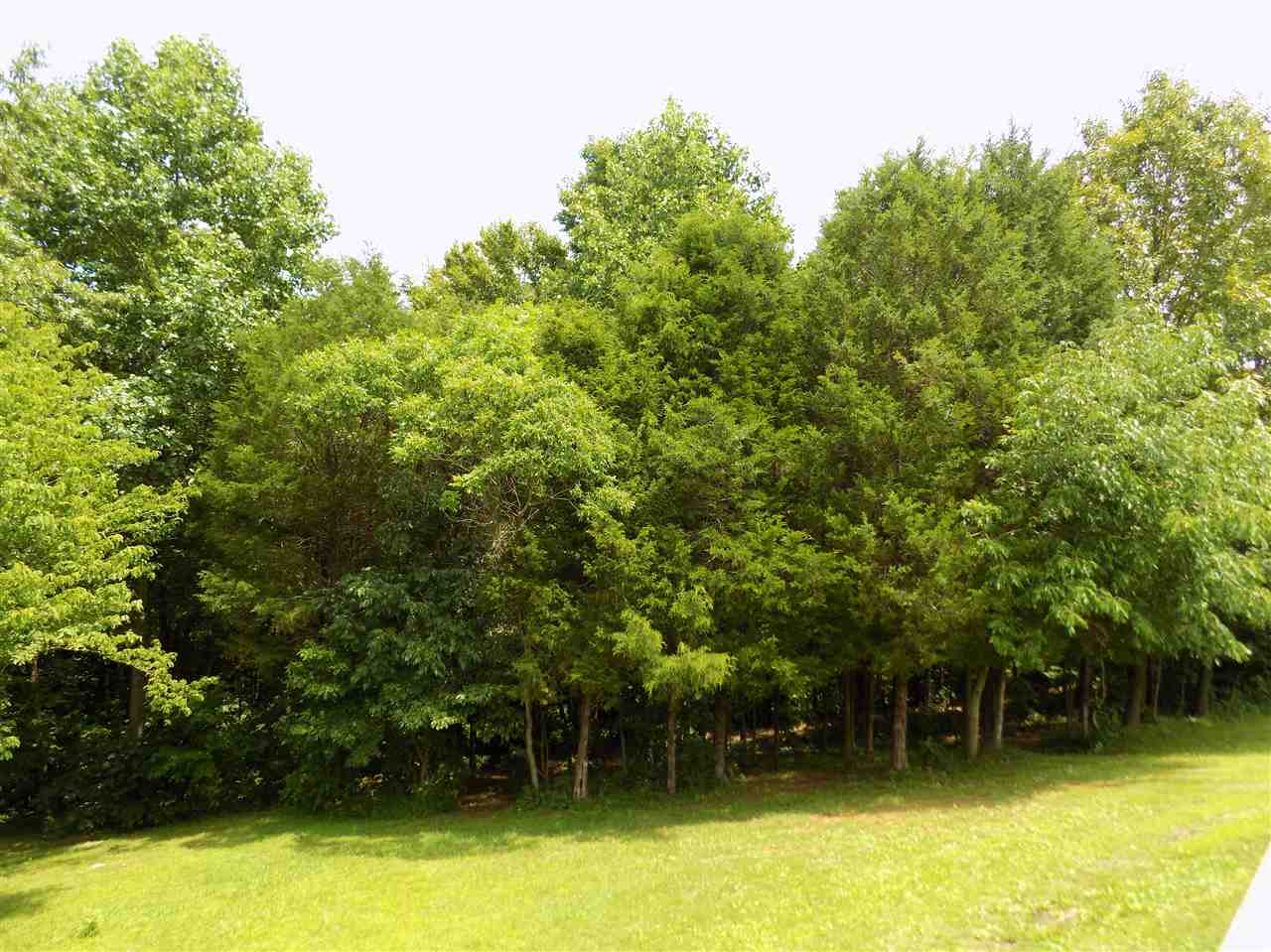 2358 3 Forks Road Smiths Grove, KY 42171 - Photo 23 of 26 Gallery Image 23