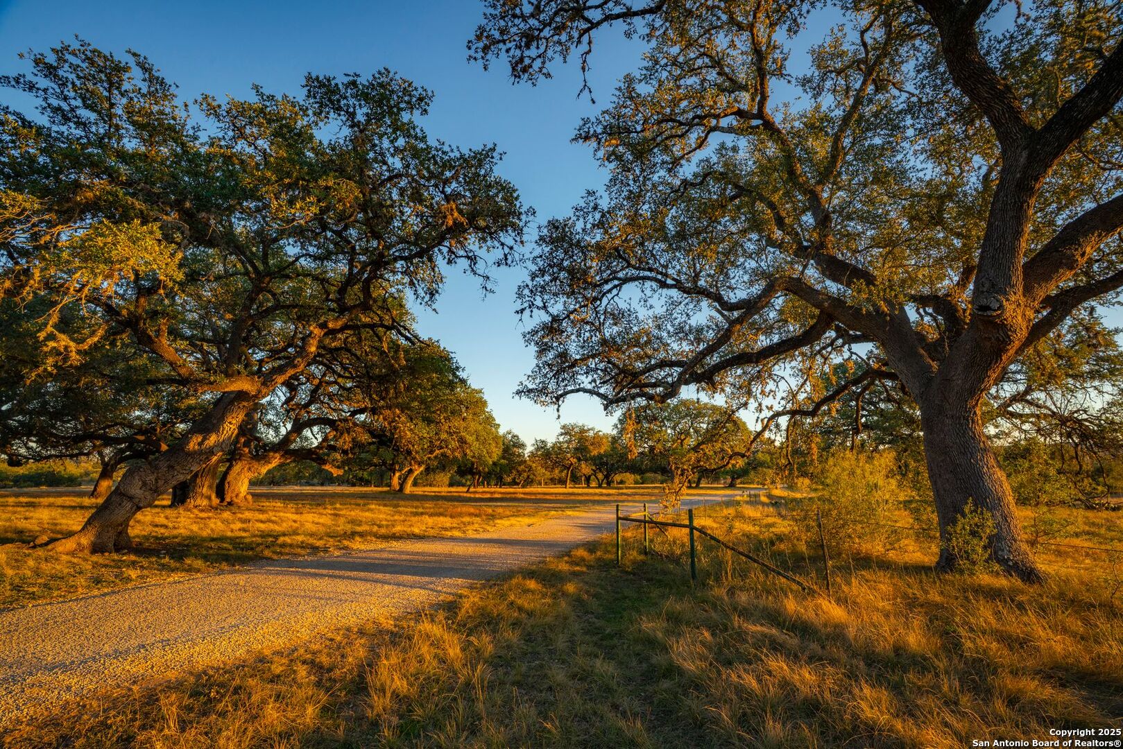 740 Optimist Way Bandera, TX 78003 - Photo 1 of 40 a view of yard with trees